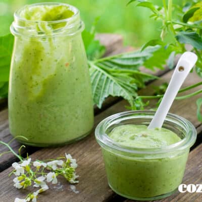 Maionese verde zero lactose