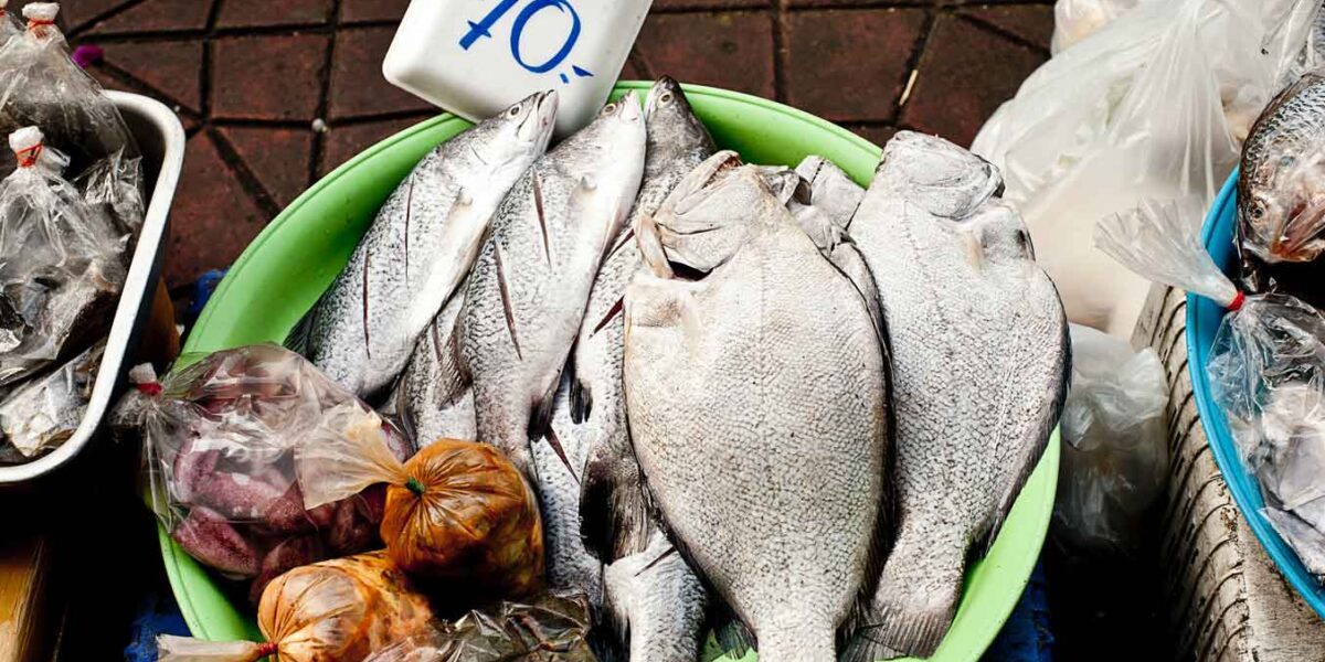 como escolher peixe
